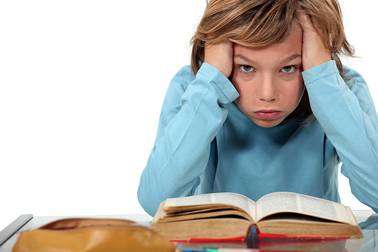 Boy exasperated with homework